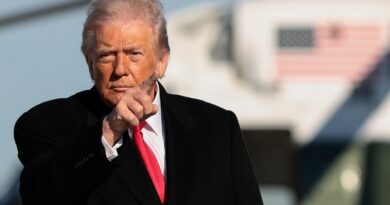 Trump wants tech companies to foot bill for new power plants due to AI