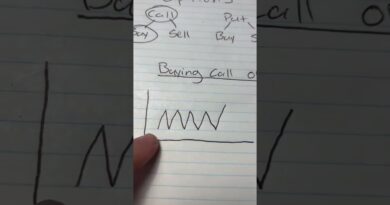 Here is how options work in the stock market