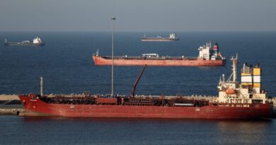 Oil Prices Could Hit $200, According to Former IMF Economist